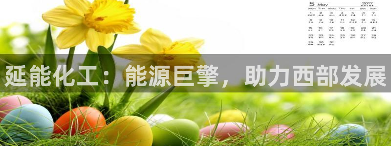 球盟会能提现吗：延能化工：能源巨擎，助力西部发展