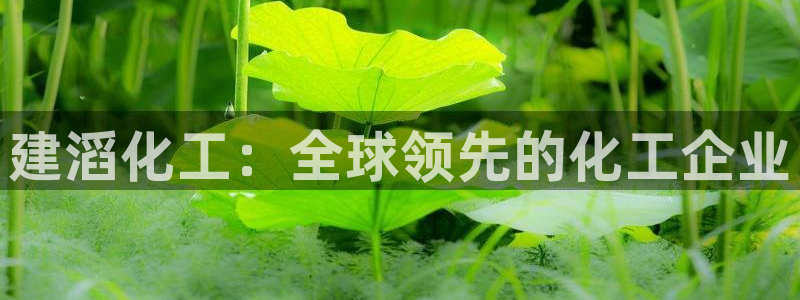 球盟会福利码2023最简单三个步骤：建滔化工：全球领先的化工