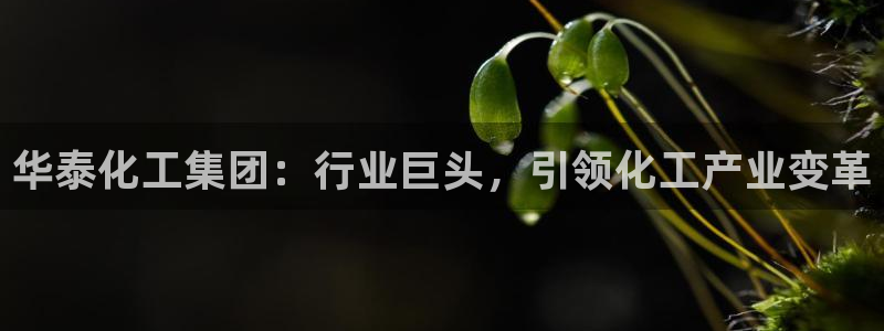 球盟会头号玩家是谁：华泰化工集团：行业巨头，引领化工产业变革