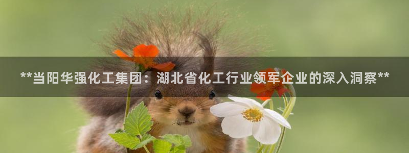 球盟会平台怎么样：**当阳华强化工集团：湖北省化工行业领军企