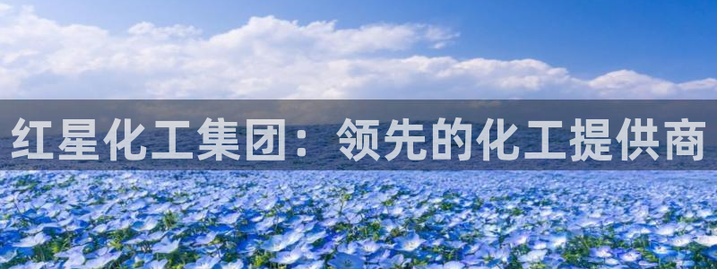 球盟会邮箱：红星化工集团：领先的化工提供商