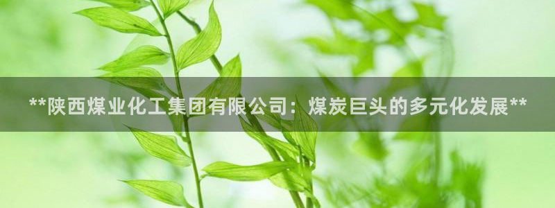 球盟会app网址多少