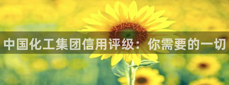 球盟会官方客服