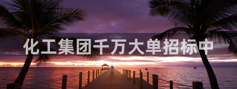 球盟会连接
