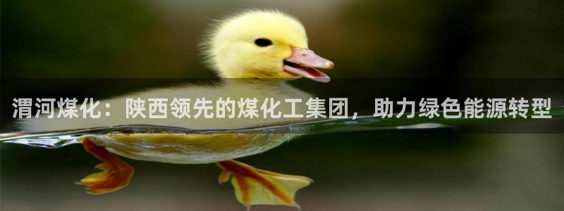 球盟会qm9