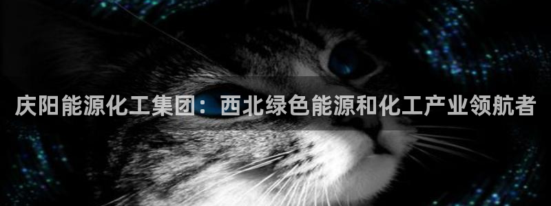 球盟会登陆