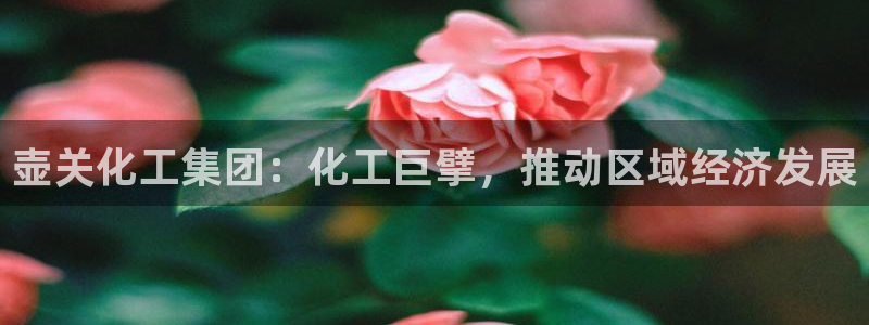 球盟会在线登录官网