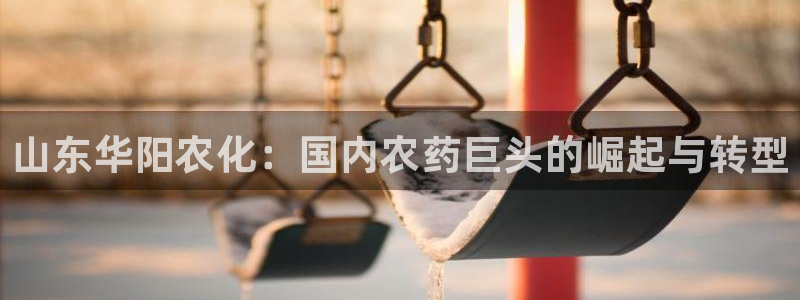球盟会官方客服
