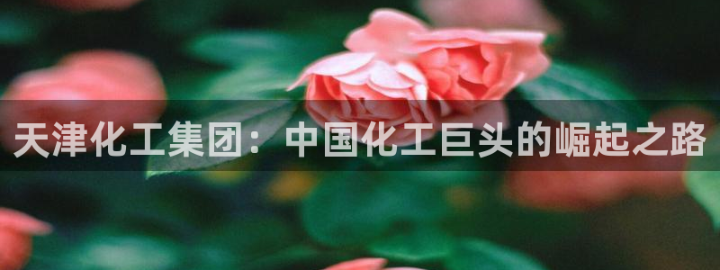 球盟会网址