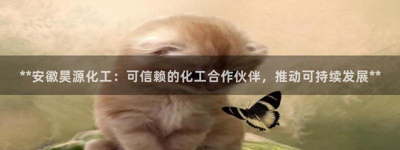 球盟会里面有打牌的嘛知乎