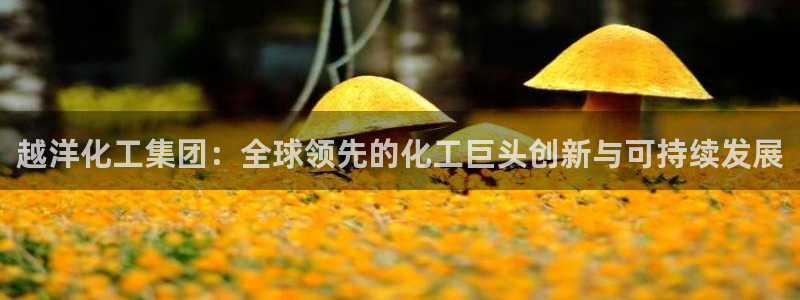 球盟会登陆