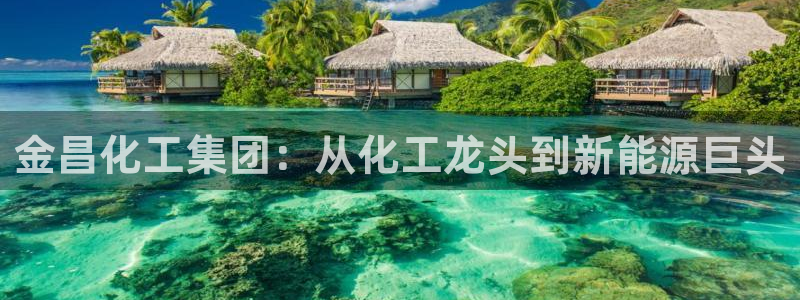球盟会头号玩家是谁