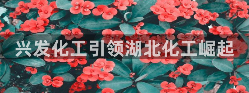 球盟会官方登录平台入口