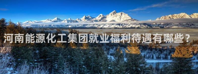球盟会官方网站是什么