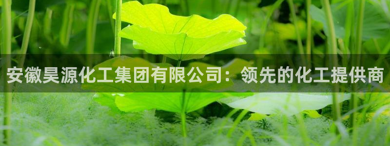 球盟会网页版登陆
