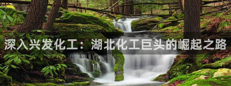 球盟会优惠码