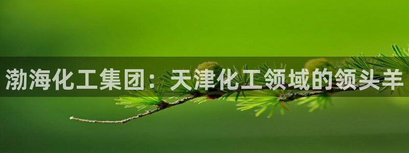 球盟会黑网