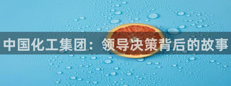球盟会