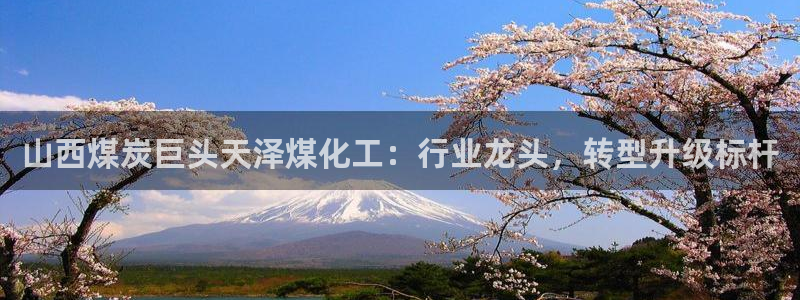 球盟会qm9