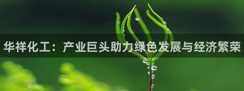 球盟会官方网页登录