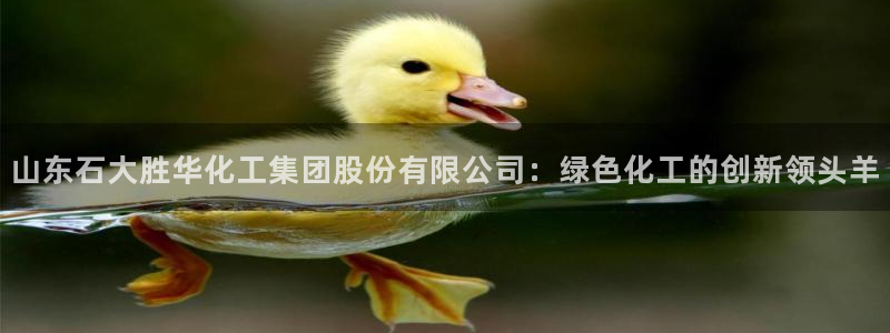 球盟会官方下载