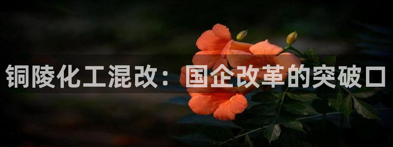 球盟会官网登录入口