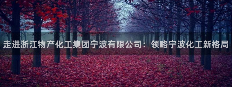 球盟会官方app首页入口