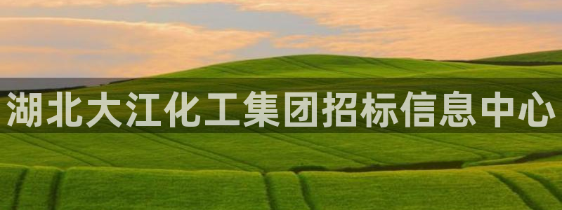 球盟会网页版