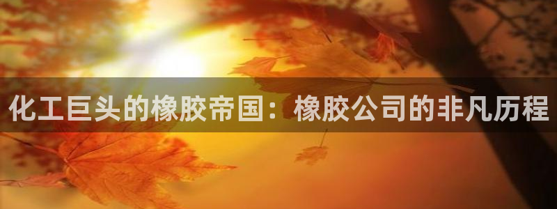 球盟会几点玩合适