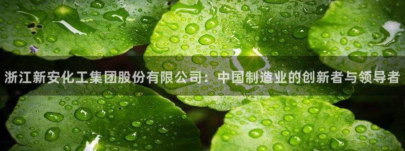 球盟会中国官方网站
