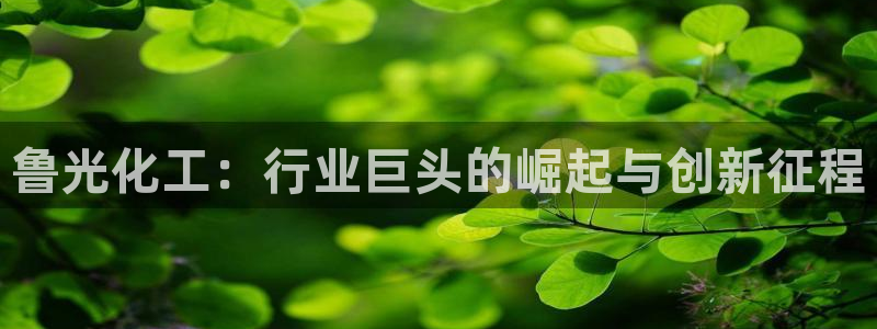 球盟会头号玩家是谁