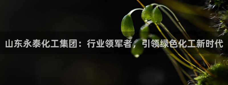 球盟会头号玩家