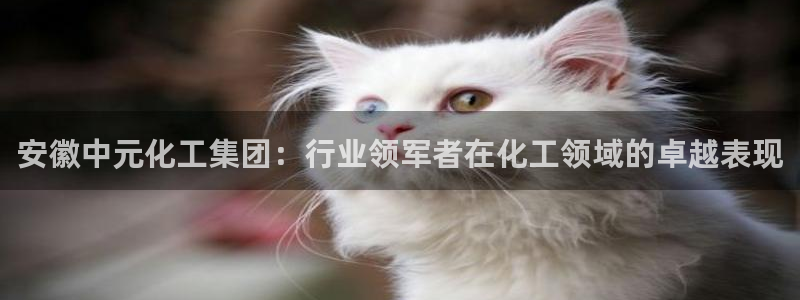 球盟会体育app官方网站