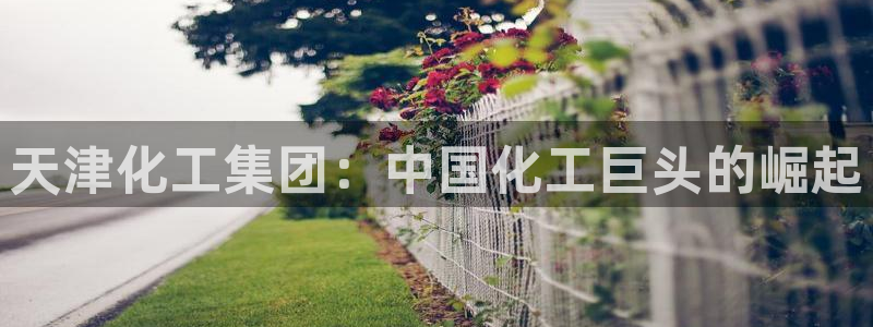 球盟会能提现吗