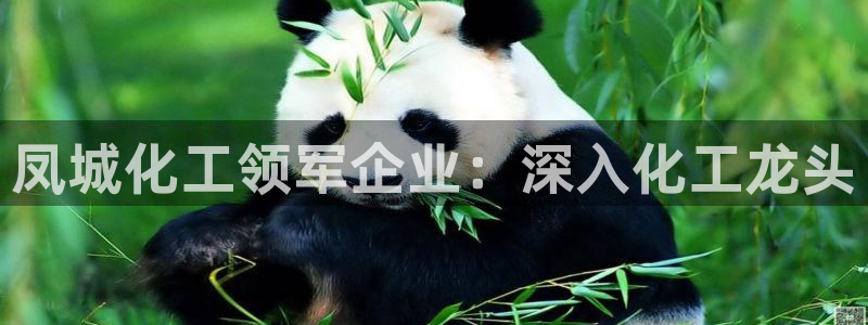 球盟会能提现吗安全吗