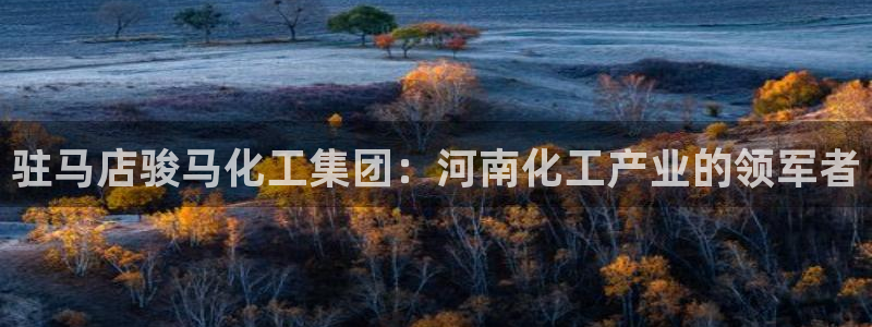 球盟会电子游戏平台