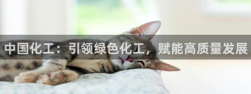 球盟会有没有黑单的球员