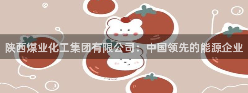 球盟会APP官网：陕西煤业化工集团有限公司：中国领先的能源企
