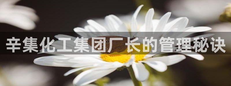 球盟会网页登录app下载地址