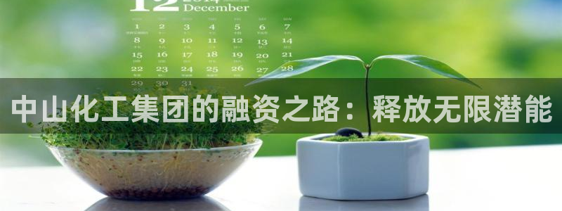 球盟会官方登录平台入口