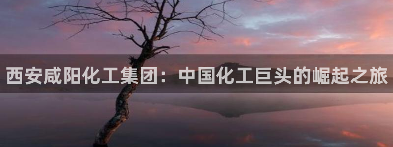 球盟会官方登录平台