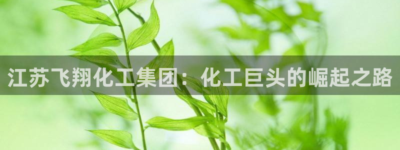 球盟会网页登录app下载地址