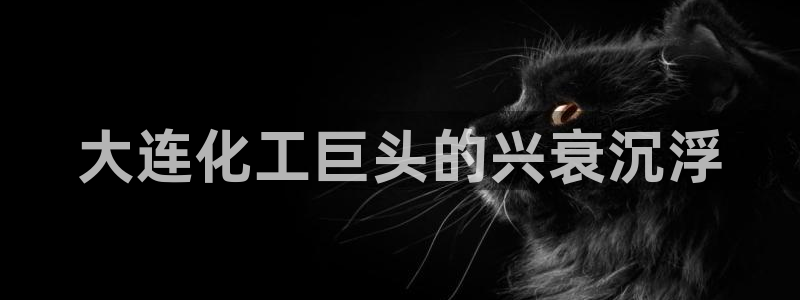 球盟会官方网站app