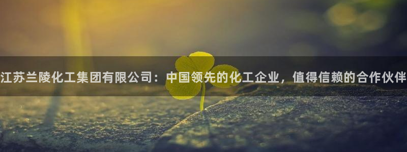 球盟会官方网址入口：江苏兰陵化工集团有限公司：中国领先的化工