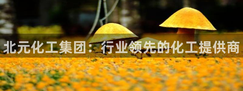 球盟会和中欧合作吗：北元化工集团：行业领先的化工提供商