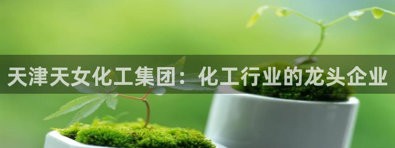 球盟会和中欧会的区别