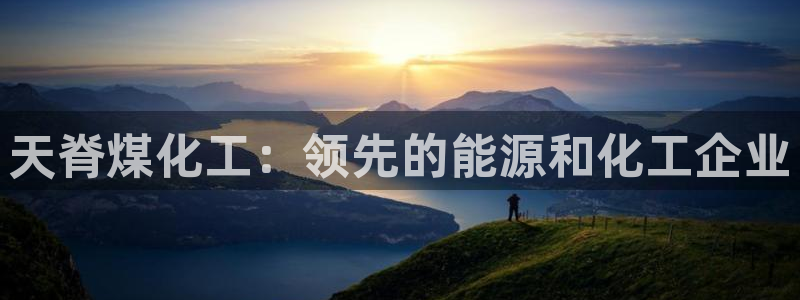 球盟会在线登录官网：天脊煤化工：领先的能源和化工企业