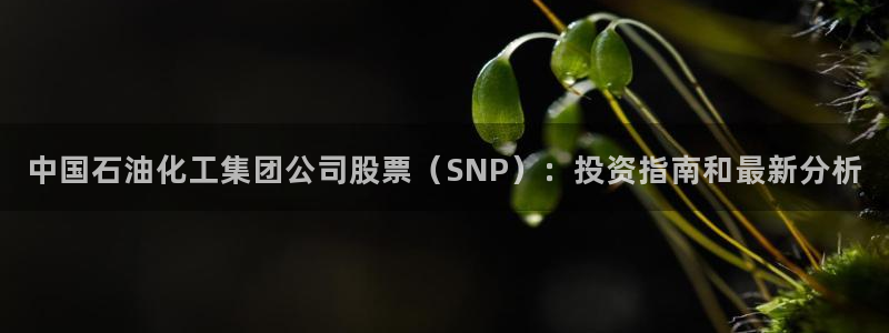 球盟会平台怎么样：中国石油化工集团公司股票（SNP）：投资指