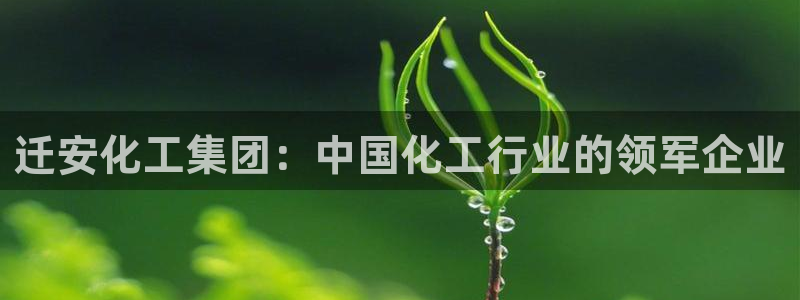 球盟会进不去吗