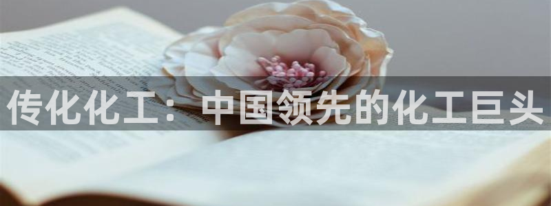 球盟会登录平台入口